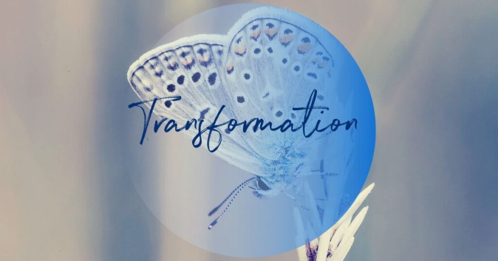 6 transformation