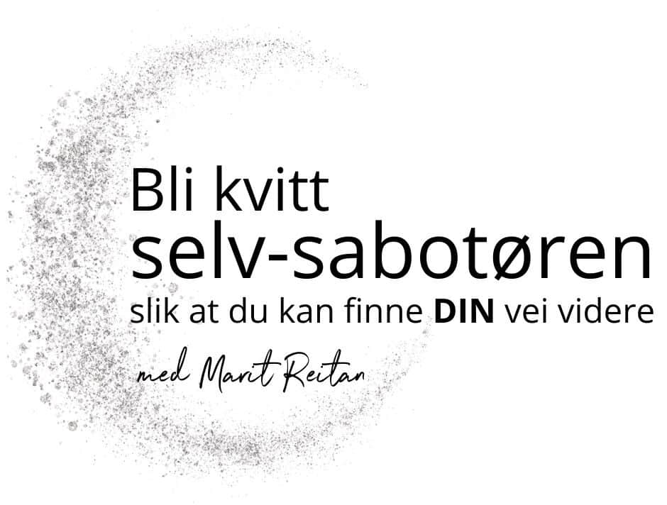 logo Marit reitan kurs